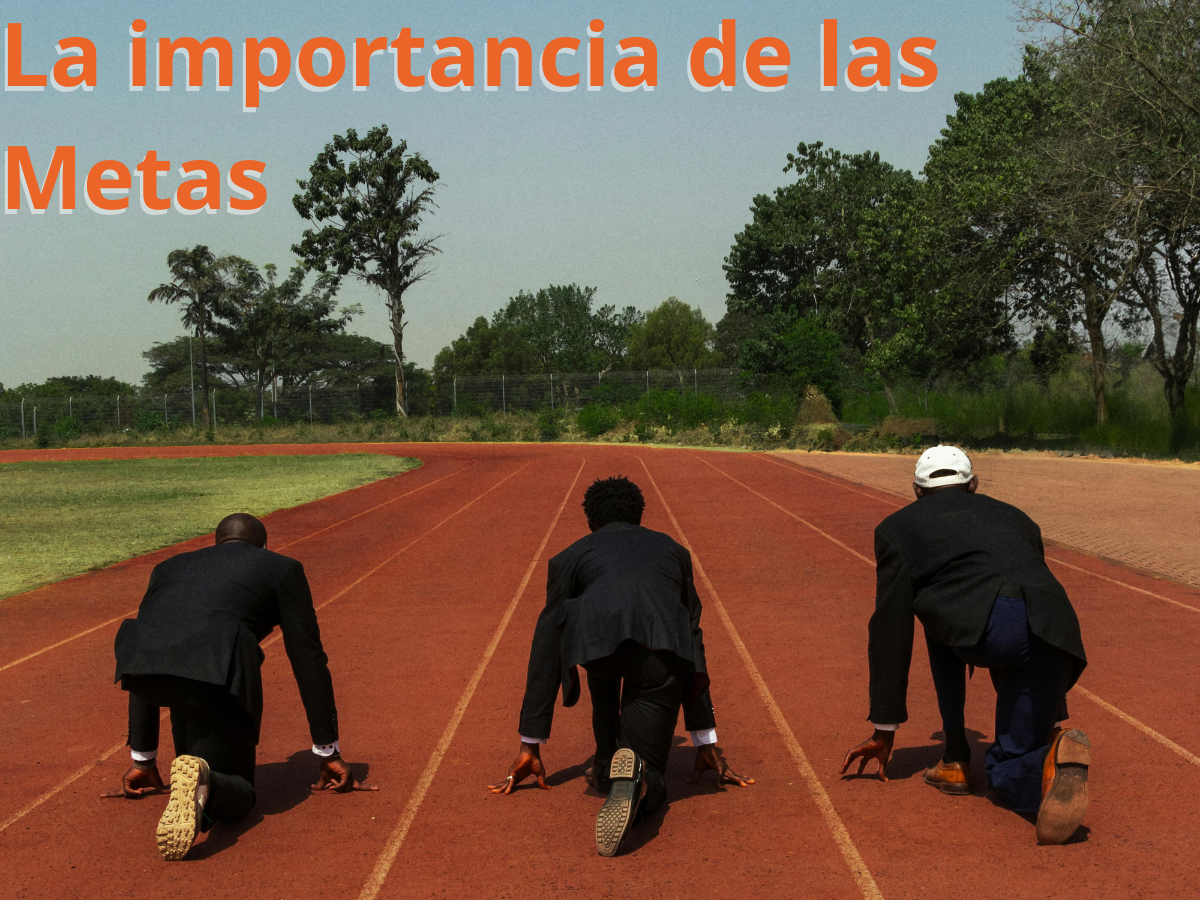 Establecimiento de Metas: La Clave para el Éxito Personal y Profesional
