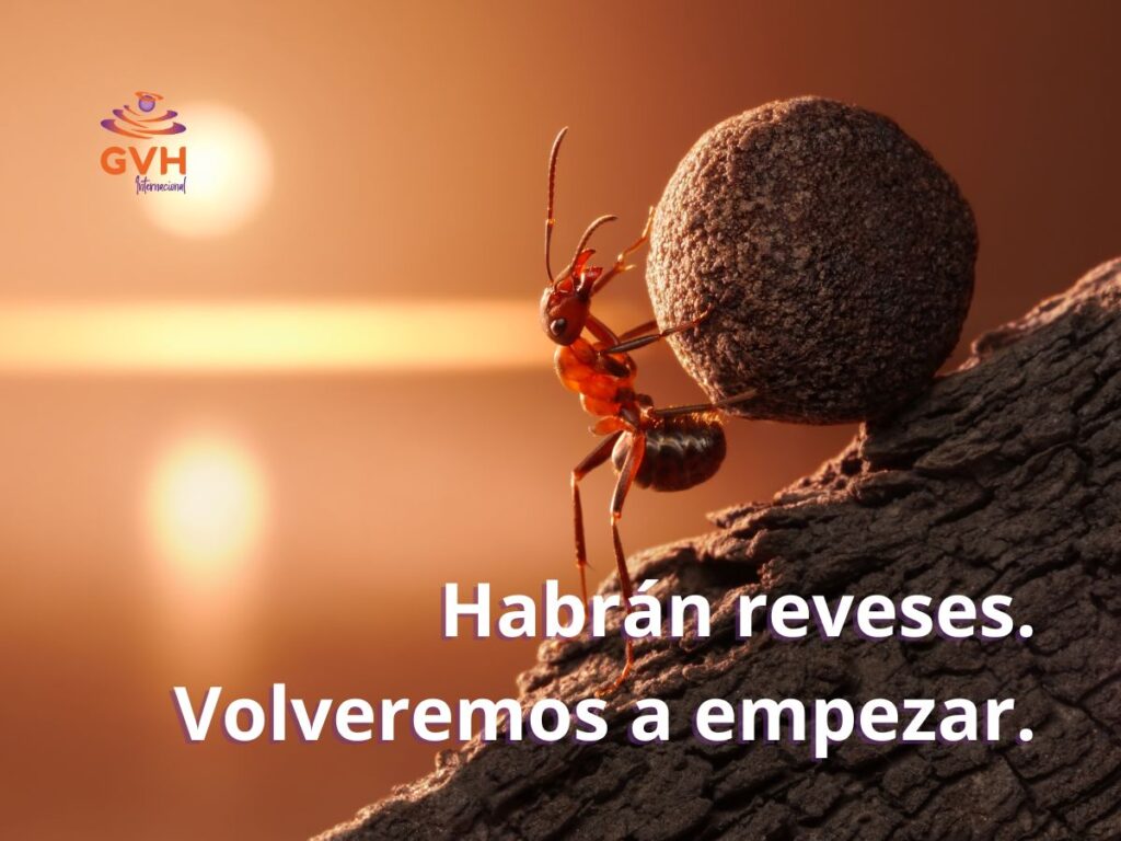 hormiga levantando una roca a cuestas
